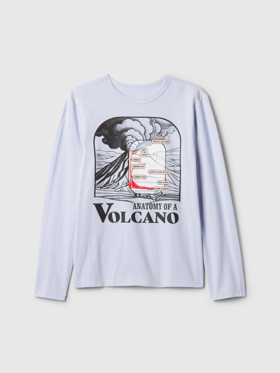 Remera Gráfico Manga Larga Niño - Jet Stream Blue 337 
