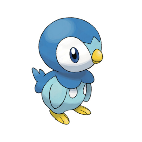 Piplup • Pokémon - 865 Piplup • Pokémon - 865