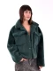 CAMPERA OSO PETROLEO
