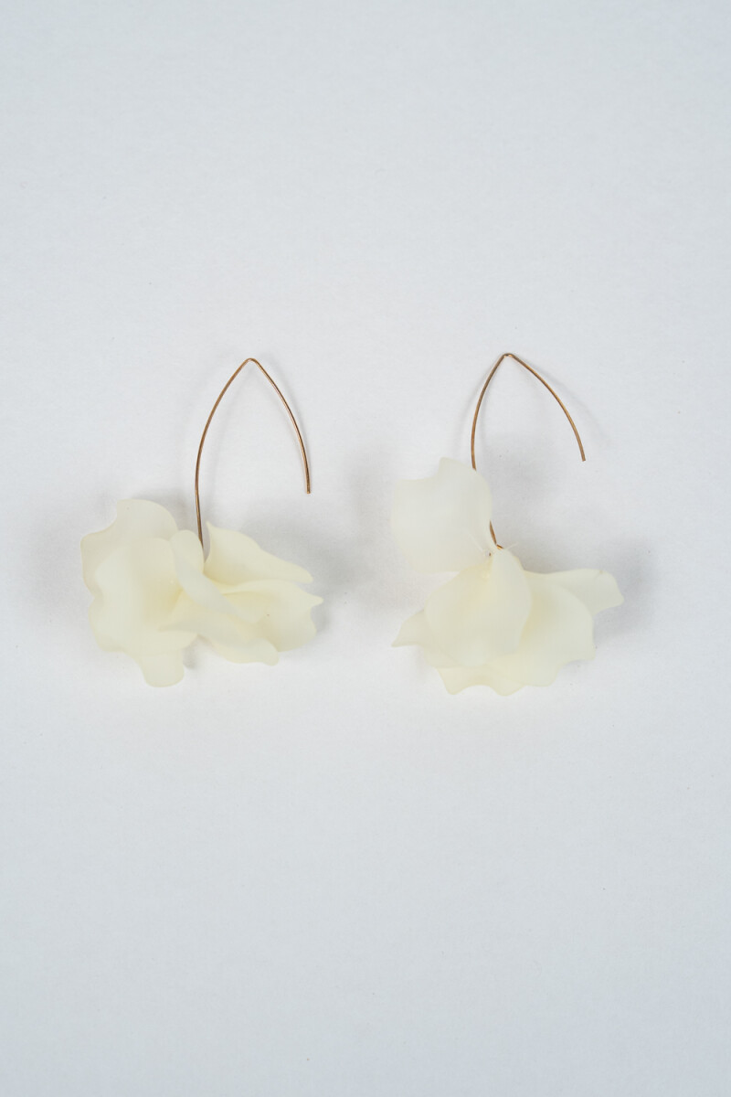 Caravana Liro - Estampado 3 