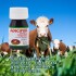 ADICIPER FRASCO 20 ML ADICIPER FRASCO 20 ML