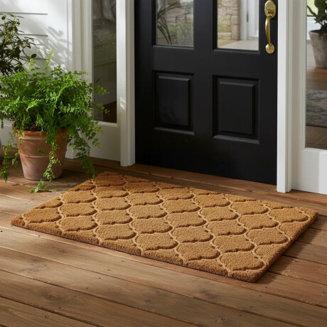 Alfombra Puerta Entrada Felpudo Coco Goma 40X60 Entramados