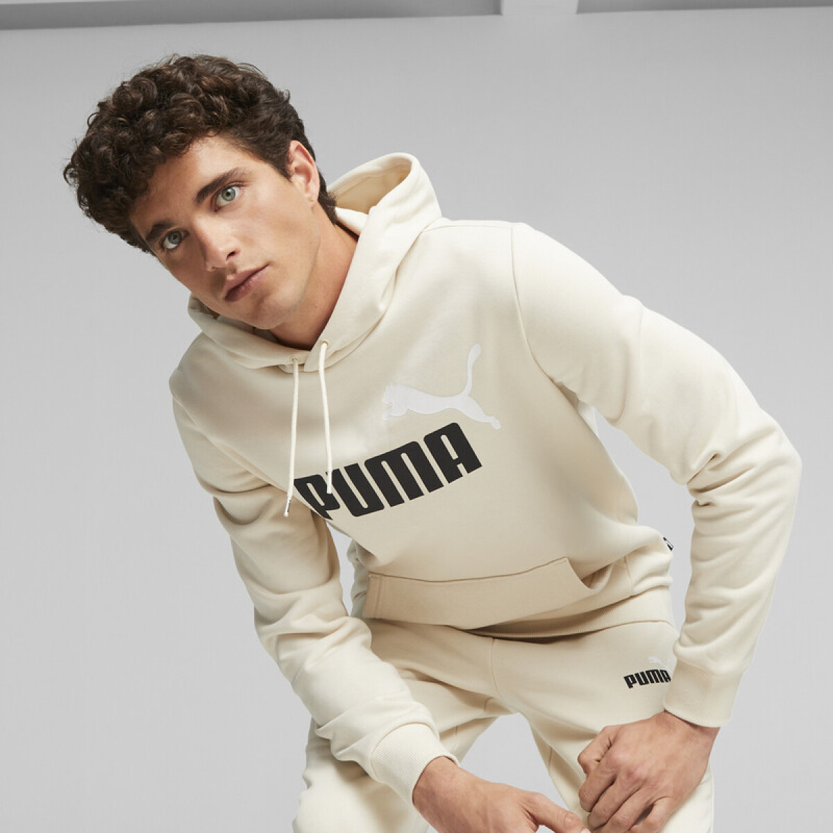 ESS+ 2 Col Big Logo Hoodie FL 58676487 - Arena 