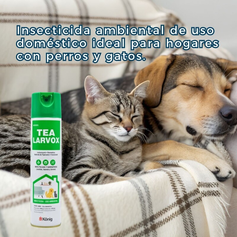 TEA LARVOX FRASCO 440 ML KONIG TEA LARVOX FRASCO 440 ML KONIG