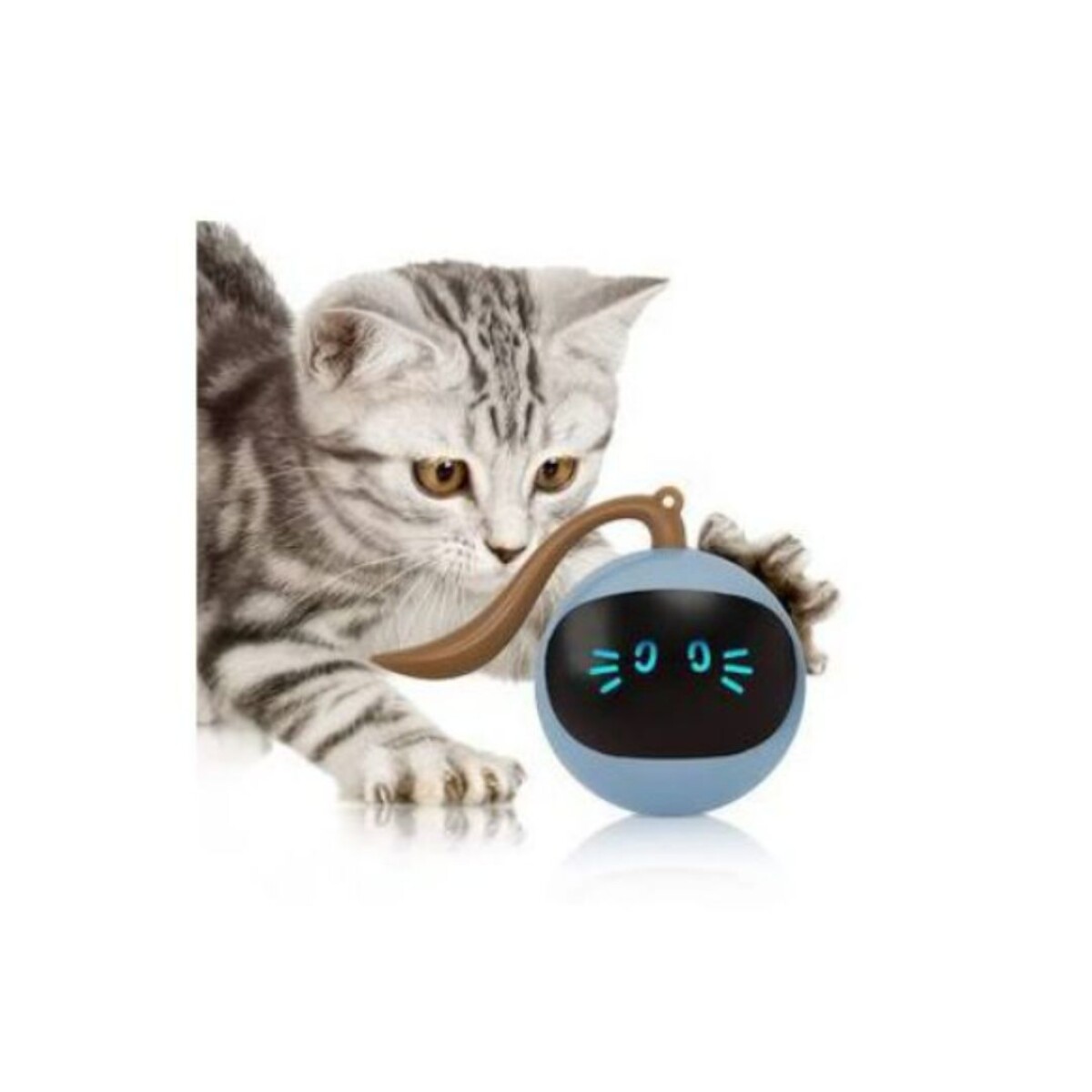 Juguete Interactivo Gato CartÃ³n Juguete Gato Fofos Whirlicat