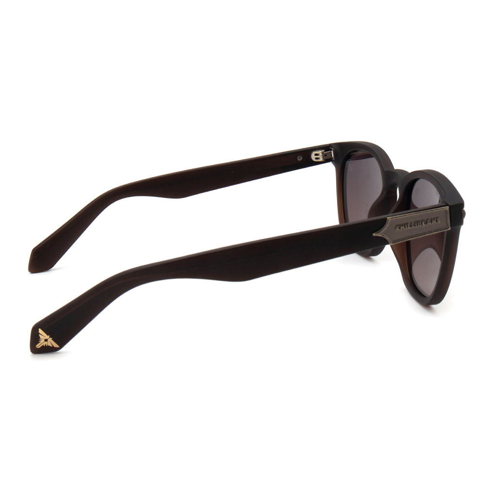 Lentes de Sol Chilli Beans Playstation TLOU Bossa Nova Hombre Gradiente Marón/Marrón