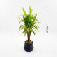 Planta Artificial 40cm Planta Artificial 40cm