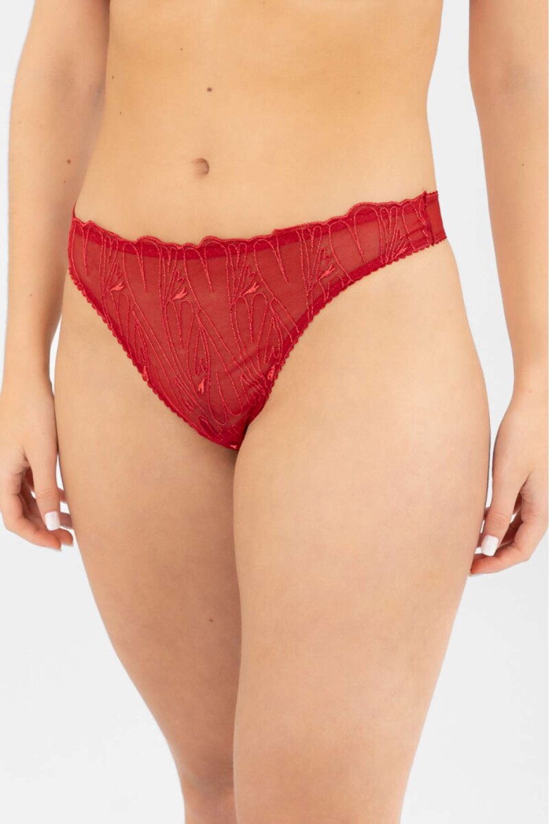 Colaless amapola - Rojo 