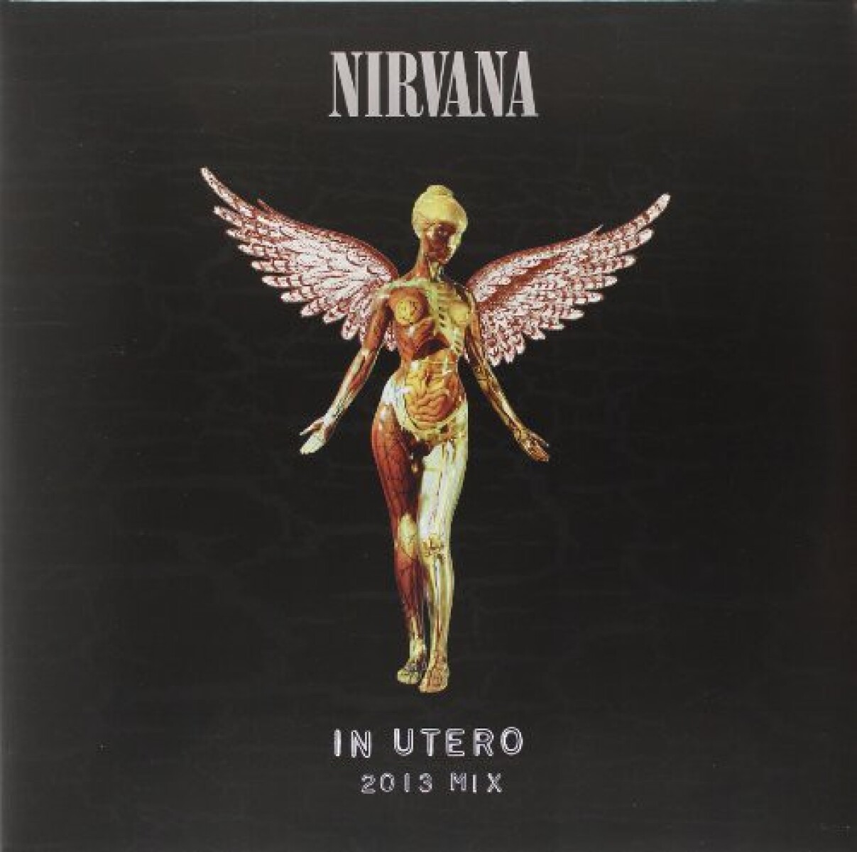 Nirvana- In Utero (aniversary Edition) - Vinilo 