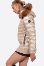 CAMPERA LION Champagne