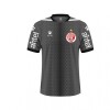 CAMISETA ALTERNATIVA RENTISTA Brown