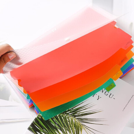 Carpeta A4 con 13 compartimentos y separadores Sc