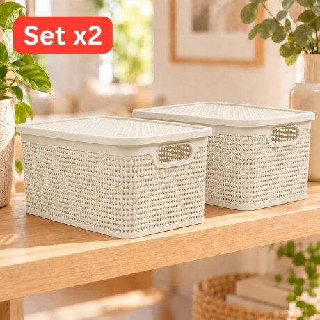 Set x2 Caja simil ratán 15 lts BEIGE