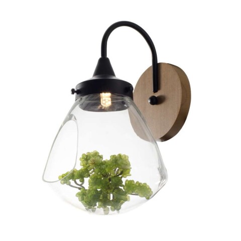 APLIQUE 1 LUZ ''TERRARIO'' E27 VIDRIO MADERA APLIQUE 1 LUZ ''TERRARIO'' E27 VIDRIO MADERA