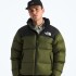 Campera de Pluma 1996 Nuptse hombre Woodland Green/tnf Blac