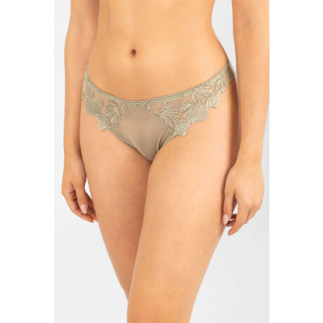 Colaless amarilis Verde malva