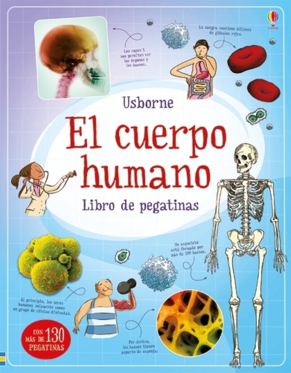 El Cuerpo Humano: Libro De Pegatinas 