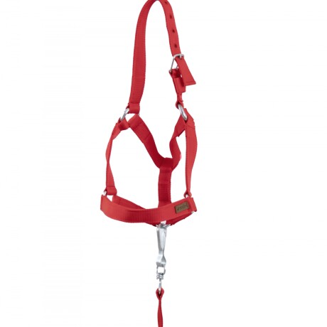 bozal con cabresto de cinta rojo