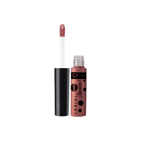 LABIAL LIQUIDO EFECTO MATE COLORFUN PERFECT