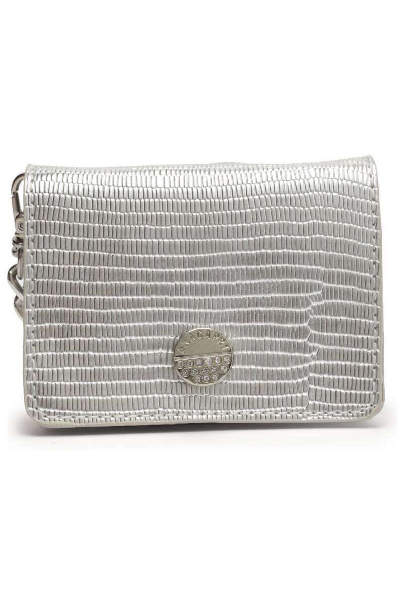 CARTERA PLATA 