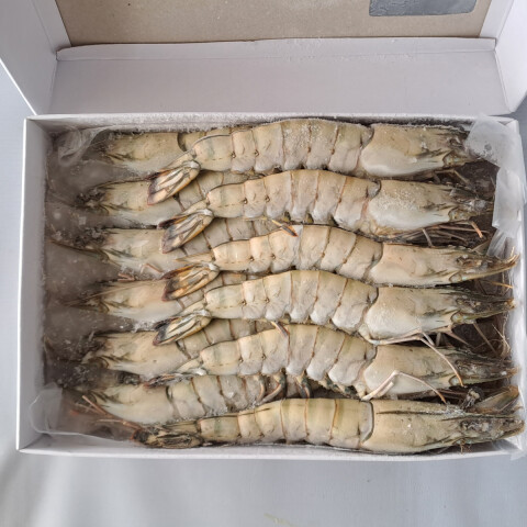 LANGOSTINO ENTERO BLACK TIGER 16/20 pcs/kg - 1 KG Langostino Entero Black Tiger 16/20 Pcs/kg - 1 Kg