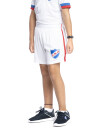 Short Alternativo 1 Nacional Oficial Junior 9d1