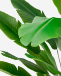 Planta artificial Banano con maceta negra 210 cm Planta artificial Banano con maceta negra 210 cm