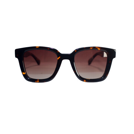 6085 Sol Carey+Marron