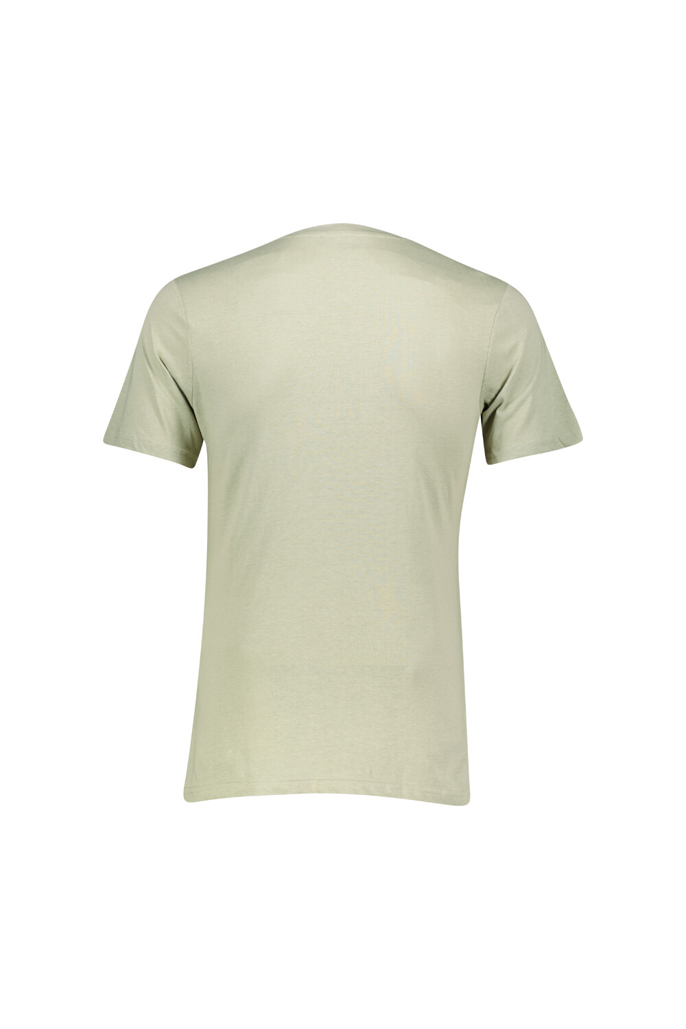 Remera Acke Verde Palido