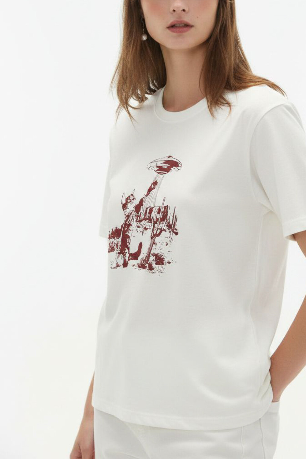 Remera Aloisi Estampado 1