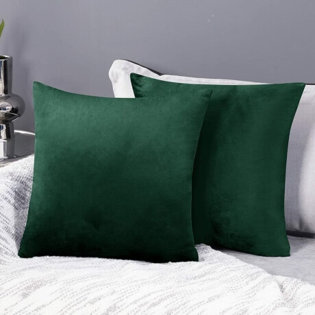 Almohadon 40x40 Verde