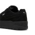 CHAMPION 36-41 NEGRO
