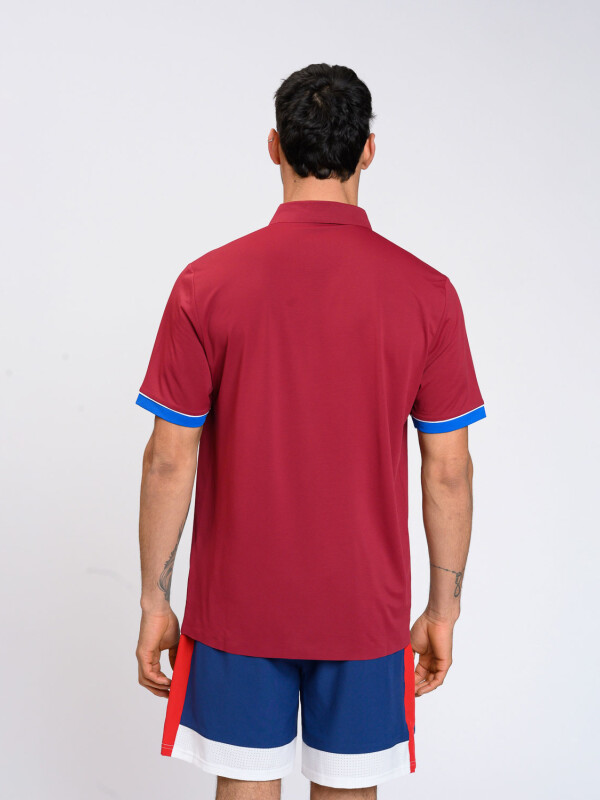 REMERA POLO MOLO Nacional Hombre Beige, ordeaux, Azul Royal