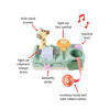 Centro musical didáctico para bebés con martillo Skip Hop Centro musical didáctico para bebés con martillo Skip Hop