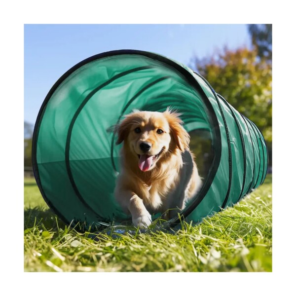Tunel Gigante Perro Gato Mascota Redondo Tubo Interactivo Variante Color Verde Agua