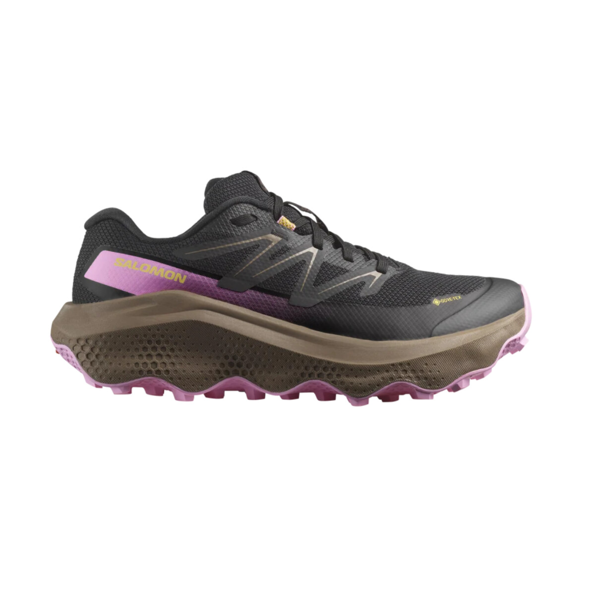 Champion Salomon Ultra Flow 2 Trail - Black 