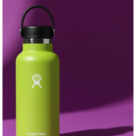 Botella 21 Oz (621ml) Standard Flex Hydro Flask Seagrass