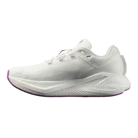 Salomon Aero Glide 3 Para Hombre Blanco