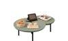 Mesa De Living MDF y Metal - Charlote Verde