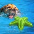 Juguete Perro Dental Morder Higiene Estrella Marina Flotante Color Variante Verde