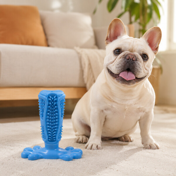 Juguete Para Perros Dental Ventosa Anti Sarro Resistente Color Azul