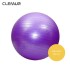 Pelota 65 Cm Violeta Pilates Yoga Gimnasia + Inflador De Pie Gym Pelota 65 Cm Violeta Pilates Yoga Gimnasia + Inflador De Pie Gym