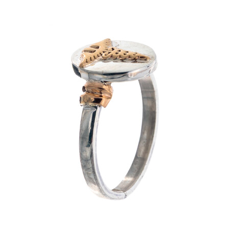 Anillo de plata 925 y oro 10 ktes, MEDICINA Anillo de plata 925 y oro 10 ktes, MEDICINA