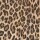 Bandolera Carla Negro y Leopardo
