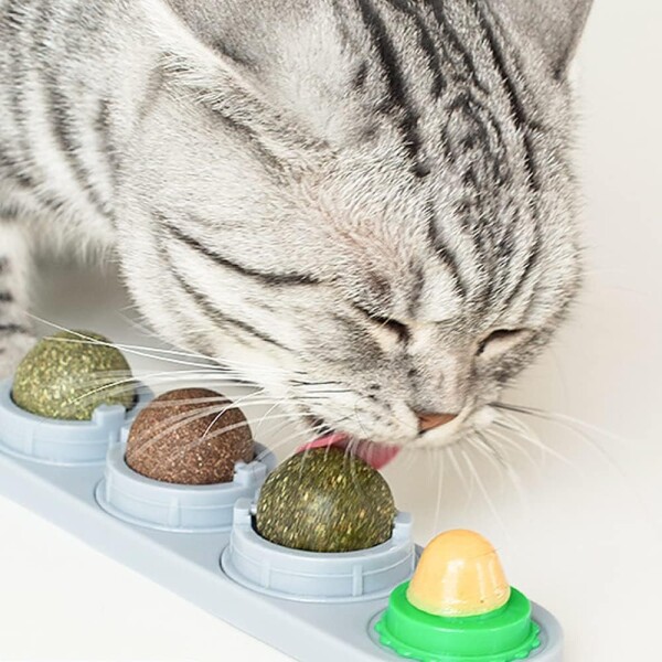 Pack x4 Golosina Gato Bola Giratoria Adhesiva Pared Snack Pack x4 Golosina Gato Bola Giratoria Adhesiva Pared Snack