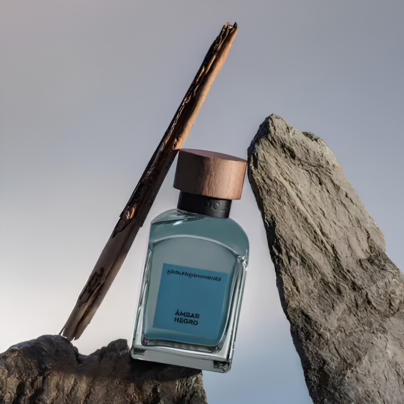 Perfume Adolfo Dominguez Ámbar Negro Hombre Edp 120 Ml Perfume Adolfo Dominguez Ámbar Negro Hombre Edp 120 Ml
