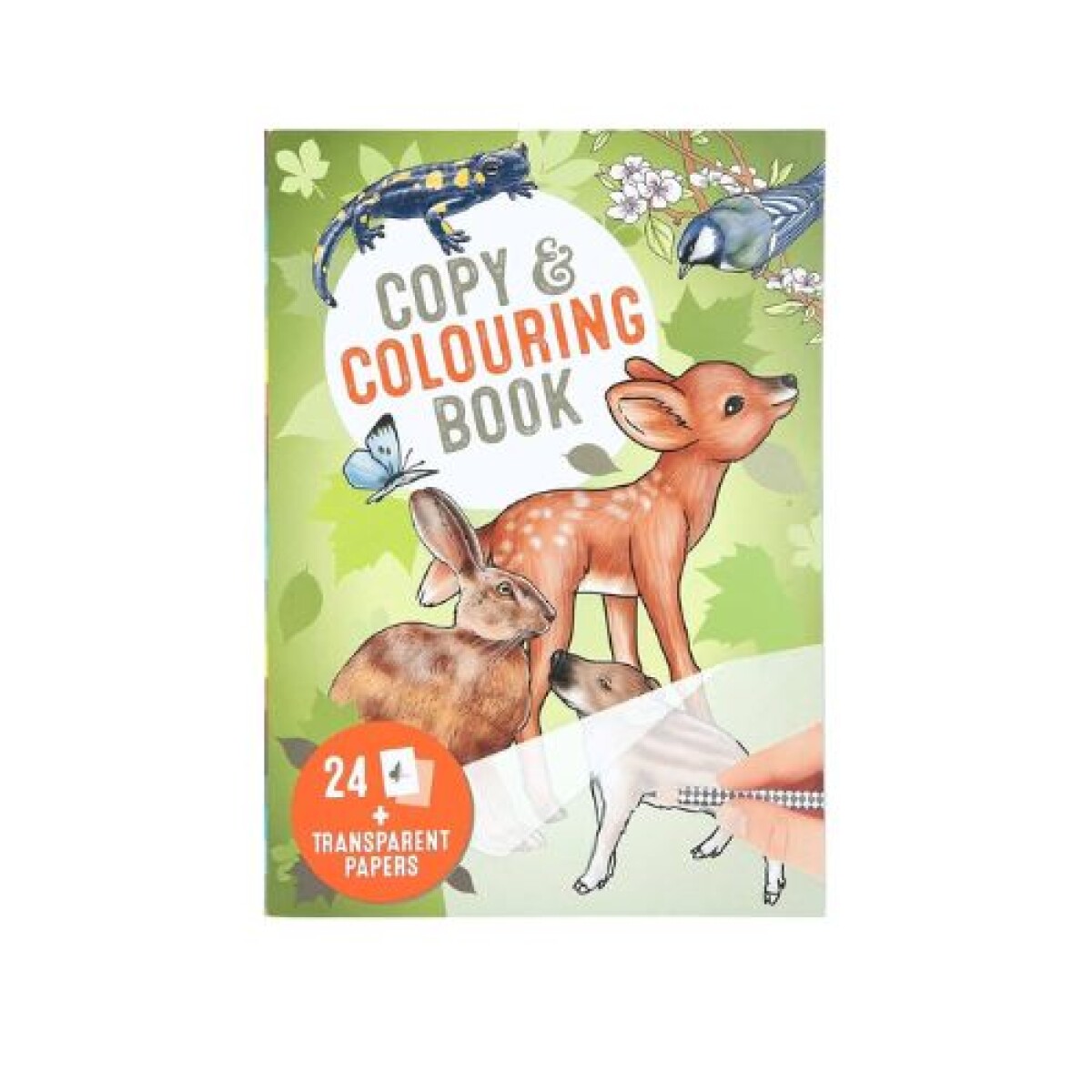Copy And Coloring Book 