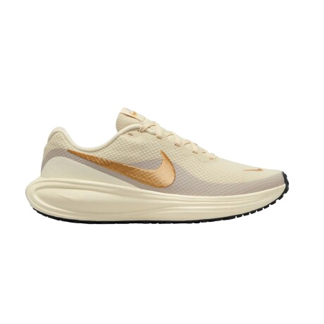 Championes Nike Revolution 8 Brown