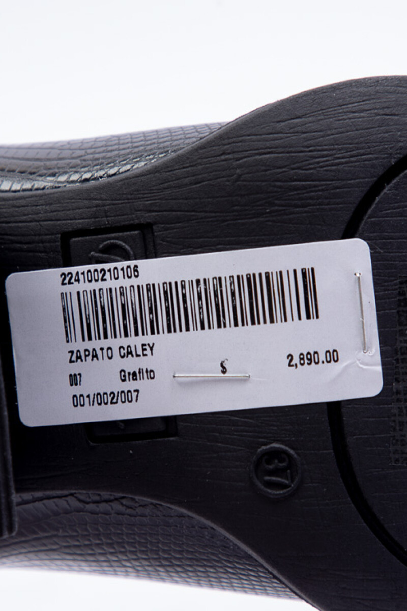 ZAPATO CALEY Grafito