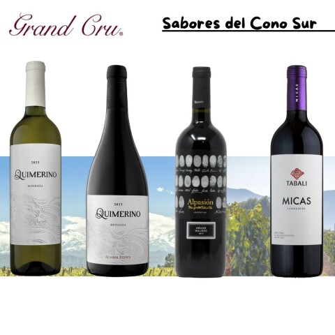 Sabores del Cono Sur Sabores del Cono Sur